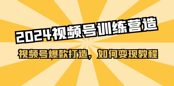 2024视频号训练营，视频号爆款打造，如何变现教程-财富课程