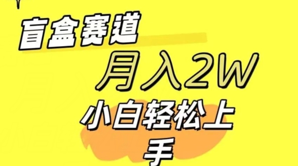 2024交友盲盒 同城网搭子群新项目全新游戏玩法运单号日入多张 可大批量-财富课程