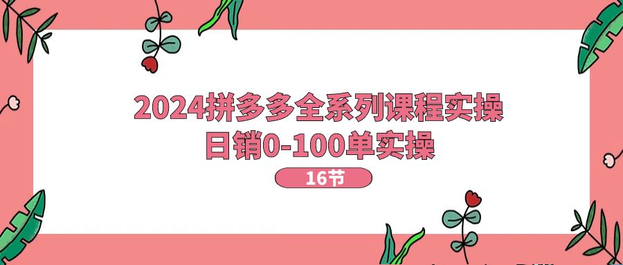 2024拼多多全系列课程实操，日销0-100单实操【16节课】-财富课程