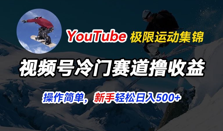 微信视频号小众跑道撸盈利，YouTube运送滑雪运动合集，暴力行为养号，使用方便总流量高，轻轻松松日入5张【揭密】-财富课程