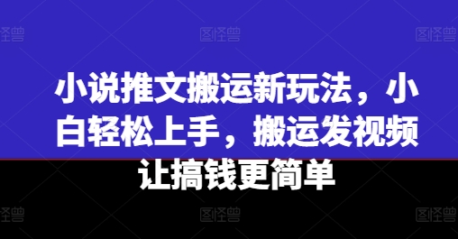 小说推文运送新模式，新手快速上手，运送上传视频让弄钱更方便-财富课程