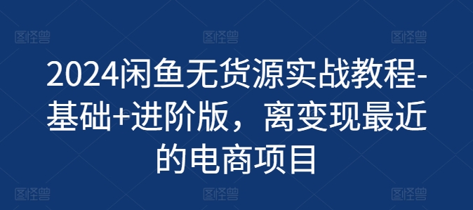 2024闲鱼平台无货源电商实战演练实例教程-基本 升级版，离转现近期的电商项目-财富课程