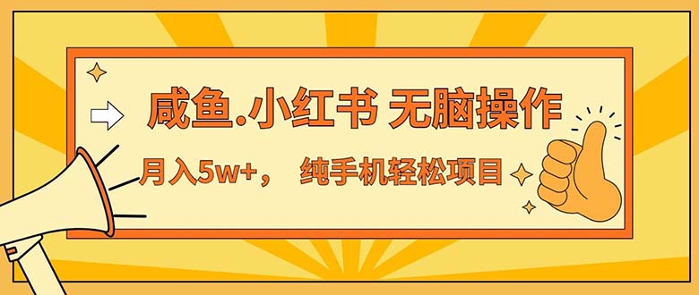 2024最赚钱的项目，咸鱼，小红书无脑操作，每单利润500+，轻松月入5万+…-财富课程