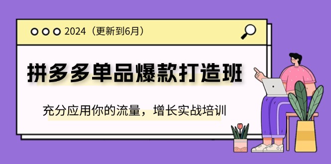 2024拼多多平台-品类爆款打造班(升级6月)，充分应用你的流量，提高实战培训-财富课程