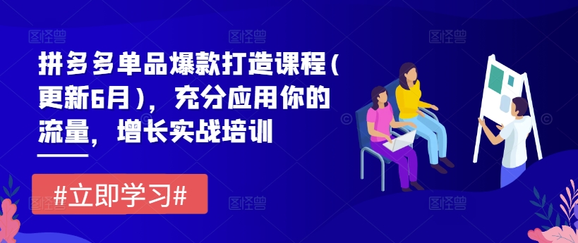 拼多多平台品类爆款打造课程内容(升级6月)，充分应用你的流量，提高实战培训-财富课程