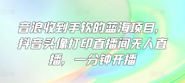 音浪收到手软的蓝海项目，抖音头像打印直播间无人直播，一分钟开播-财富课程