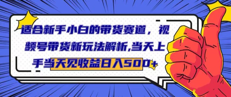 适合新手小白的带货赛道，视频号带货新玩法解析，当天上手当天见收益，日入500+-财富课程