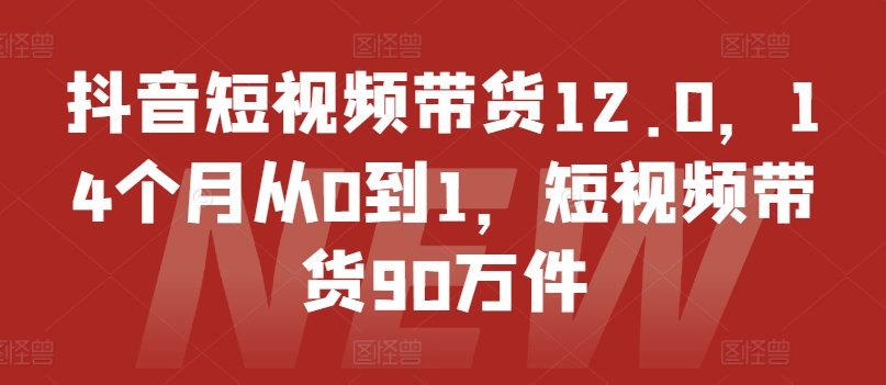 抖音小视频卖货12.0，14个月从0到1，短视频卖货90千件-财富课程