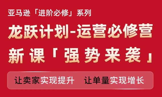 亚马逊平台升阶必需系列产品，龙跃方案-经营必需营新授课，让卖家完成提高 让订单数实现增长-财富课程