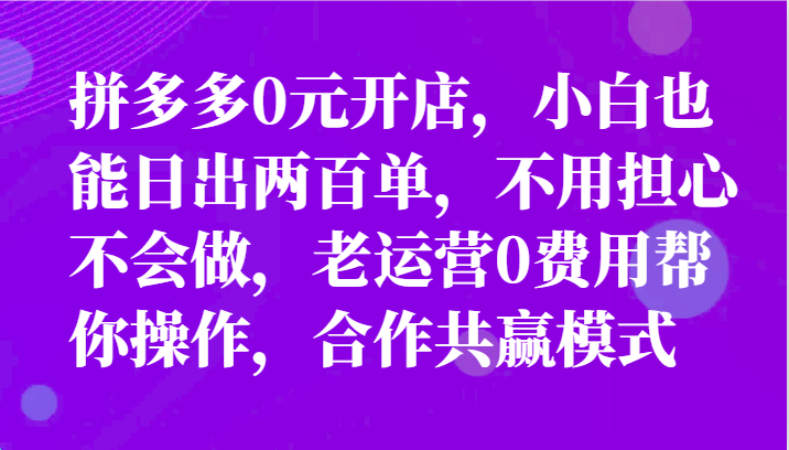 全新拼多多平台优质企业新手褔利，二天销售量过百单，不要钱、老经营代实际操作-财富课程