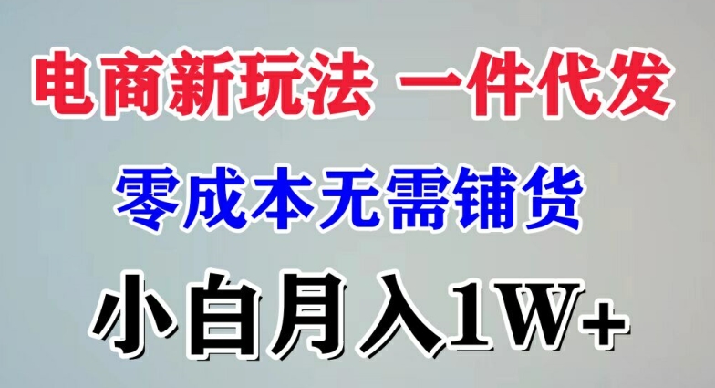 电子商务新模式 一件代发,零成本不用进货，新手月入1W-财富课程