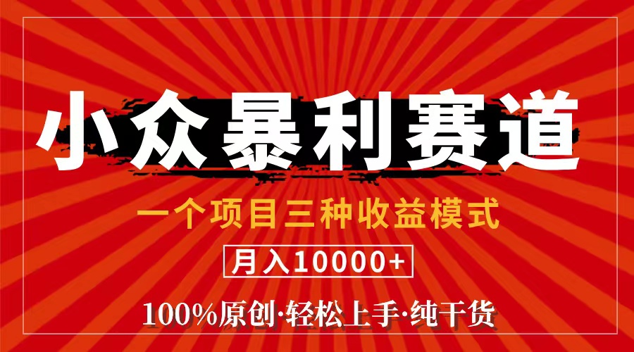 视频号【中老年粉深信不疑】小众赛道 100%原创 手把手教学 新号3天收益…-财富课程