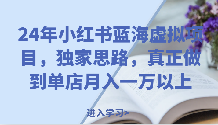 24年小红书的瀚海虚拟资源项目，独家代理构思，充分体现门店月入一万之上。-财富课程