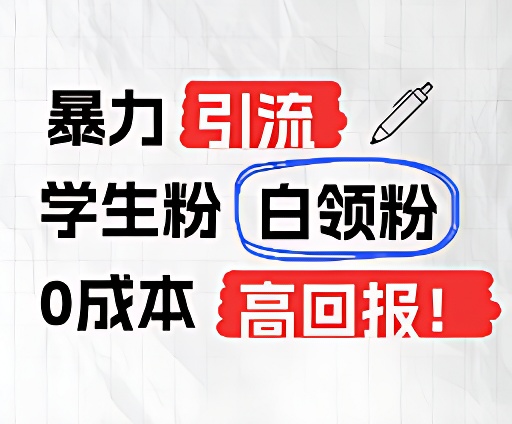 暴力行为引流方法学生们粉上班族粉，完爆过去废弃物游戏玩法，0成本费，高收益-财富课程