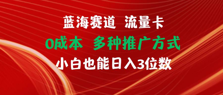 蓝海赛道 流量卡 0成本 小白也能日入三位数-财富课程