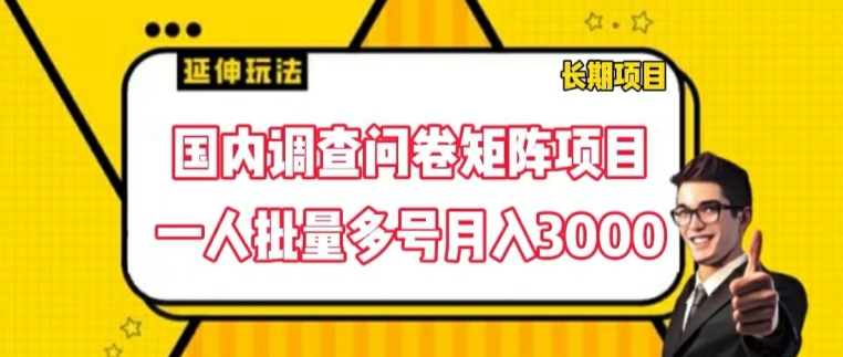 国内调查问卷矩阵项目，一人批量多号月入3000【揭秘】-财富课程