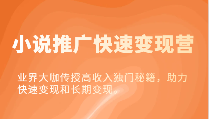 小说集营销推广收益最大化营-业内大佬教给高工资独门秘籍，助推收益最大化或长期转现。-财富课程