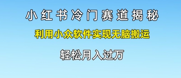 小红书的小众跑道揭密，运用小众软件完成没脑子运送，轻轻松松月入了万-财富课程