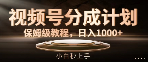 微信视频号分为方案家庭保姆级实例教程，日入1K，新手秒入门【揭密】-财富课程