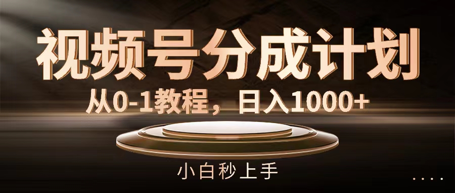 微信视频号分为方案，从0-1实例教程，日入1000-财富课程