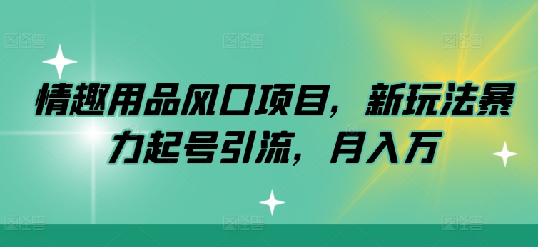 情趣用具蓝海项目，新模式暴力行为养号引流方法，月入万-财富课程