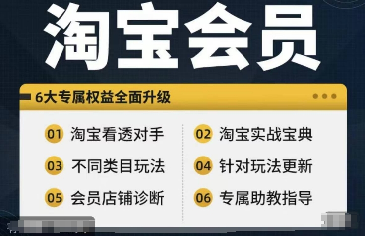 淘宝会员【淘宝网全部课程，深入分析敌人】，初中级到大神全系列实战演练秘笈-财富课程