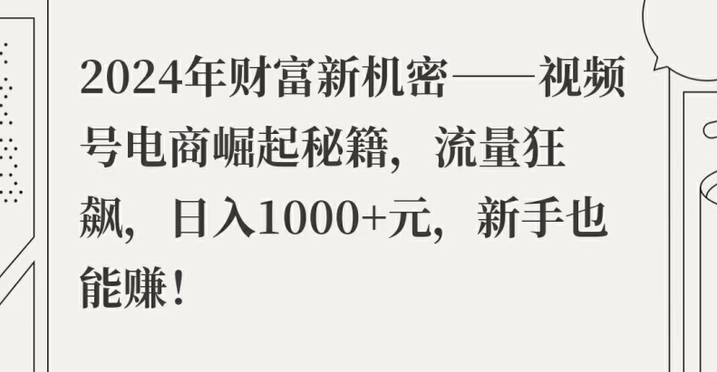 2024年财富新机密——视频号电商崛起秘籍，流量狂飙，日入1k元，新手也能赚-财富课程