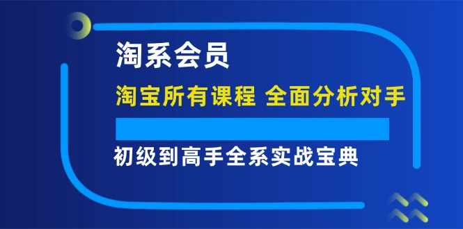 淘系会员初级到高手全系实战宝典【淘宝所有课程，全面分析对手】-财富课程