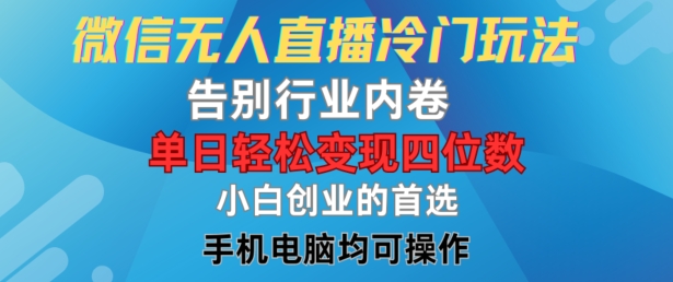 微信无人在线小众游戏玩法，道别业内卷，单日轻轻松松转现四位数，新手的自主创业优选【揭密】-财富课程