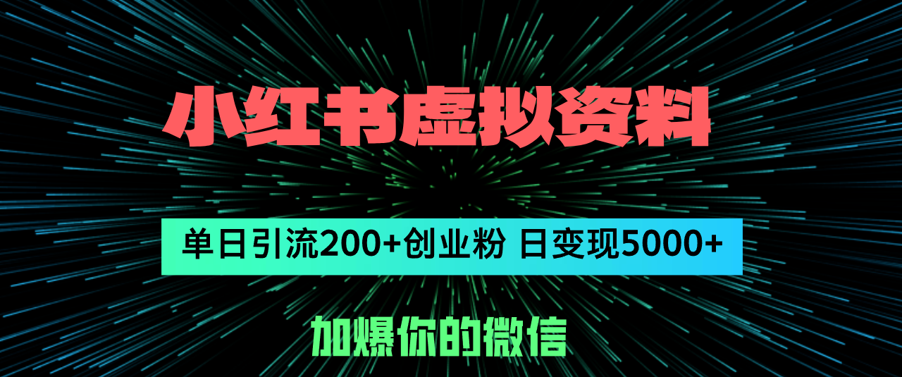 小红书虚拟资料日引流200+创业粉，单日变现5000+-财富课程