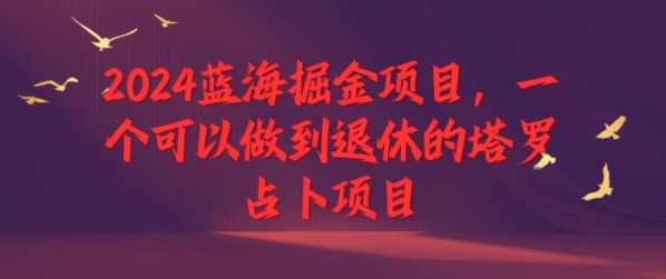 2024瀚海掘金队新项目，一个能做到退休塔罗牌占卜新项目-财富课程