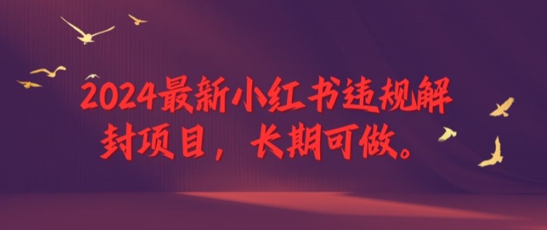 2024全新小红书违规解除限制新项目，长期性能做，一个能做到退休新项目【揭密】-财富课程