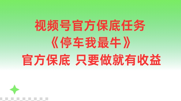 微信视频号官方网最低每日任务，泊车我最牛，官方网最低只要做就会有盈利【揭密】-财富课程