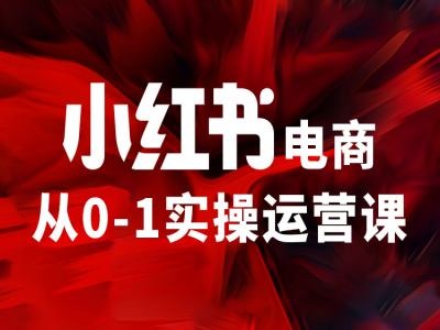 小红书电商从0-1实际操作运营课，使你从小白到精锐-财富课程