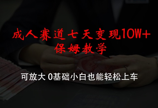 成年人跑道七天转现10W 家庭保姆课堂教学，可变大，0基本新手都可以轻松进入车内【揭密】-财富课程