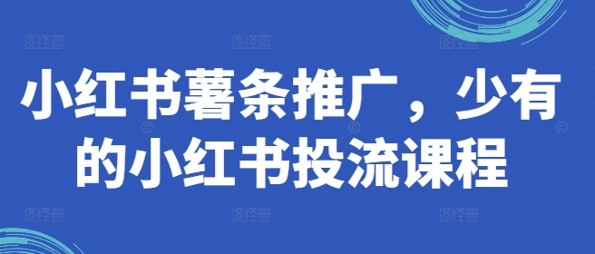 小红书的炸薯条营销推广，难得少有的小红书投流课程内容-财富课程