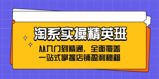 淘系实操精英班：从入门到精通，全面覆盖，一站式掌握店铺盈利秘籍-财富课程