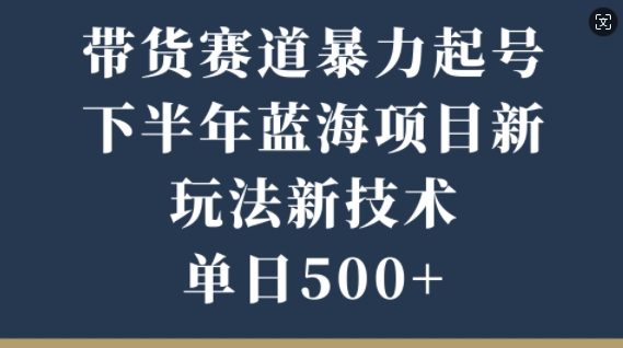 卖货跑道暴力行为养号，后半年蓝海项目，新模式新技术应用，单日500-财富课程