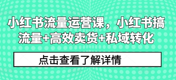 小红书流量运营课，小红书搞流量+高效卖货+私域转化-财富课程