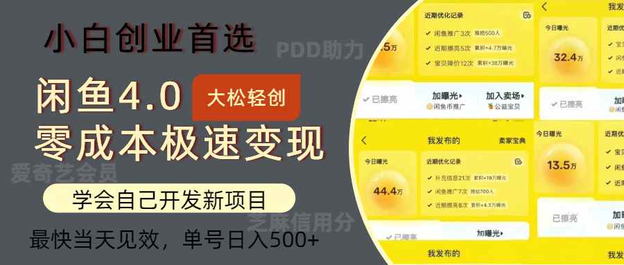 闲鱼0成本极速变现项目，多种变现方式 单号日入500+最新玩法-财富课程