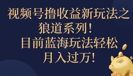 视频号暴力撸收益新玩法之狼道系列，目前蓝海玩法轻松月入过万-财富课程