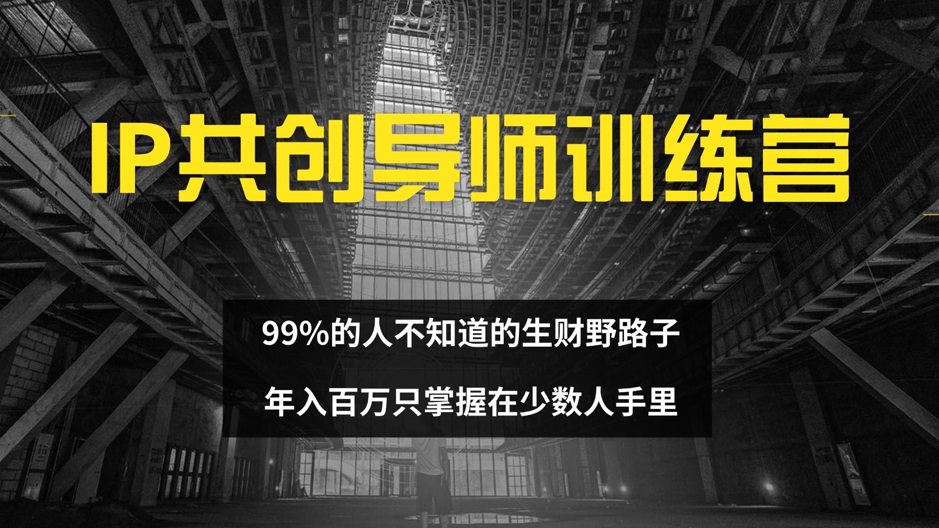 IP共创导师训练营 99%的人不知道的生财野路子 只掌握在少数人手里-财富课程