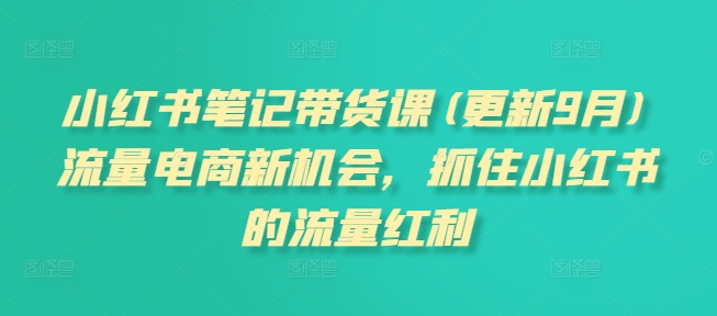 小红书笔记带货课(更新9月)流量电商新机会，抓住小红书的流量红利-财富课程