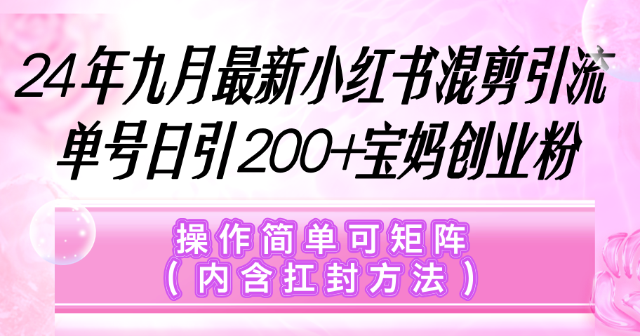 小红书混剪引流，单号日引200+宝妈创业粉，操作简单可矩阵（内含扛封…-财富课程