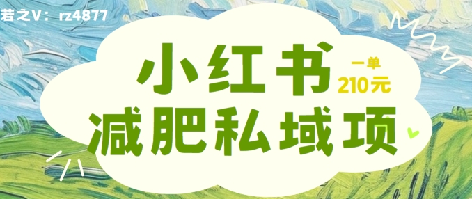 小红书减肥粉，私域变现项目，一单就达210元，小白也能轻松上手【揭秘】-财富课程