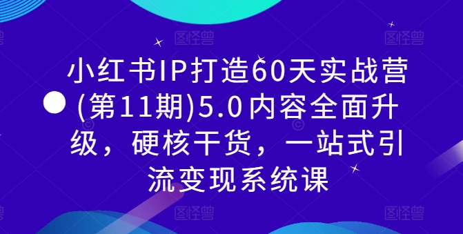 小红书IP打造60天实战营(第11期)5.0​内容全面升级，硬核干货，一站式引流变现系统课-财富课程