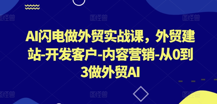 AI闪电做外贸实战课，​外贸建站-开发客户-内容营销-从0到3做外贸AI-财富课程