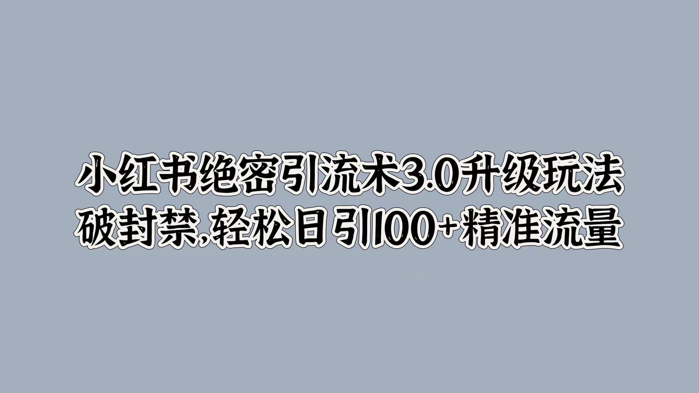 小红书绝密引流术3.0升级玩法，破封禁，轻松日引100+精准流量-财富课程