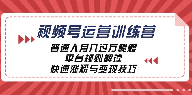 视频号运营训练营：普通人月入过万秘籍，平台规则解读，快速涨粉与变现-财富课程