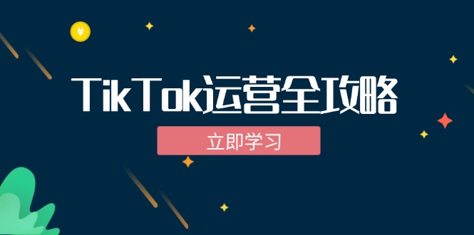 TikTok实战运营全攻略：从下载软件到变现，抖音海外版实操教程-财富课程